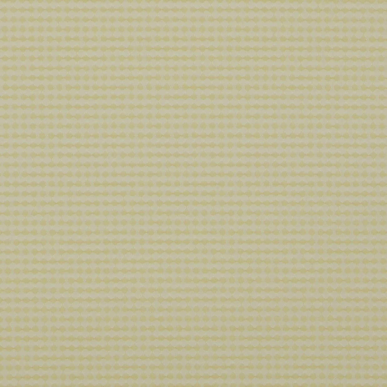 Dapple Lime Conservatory Roller blind
