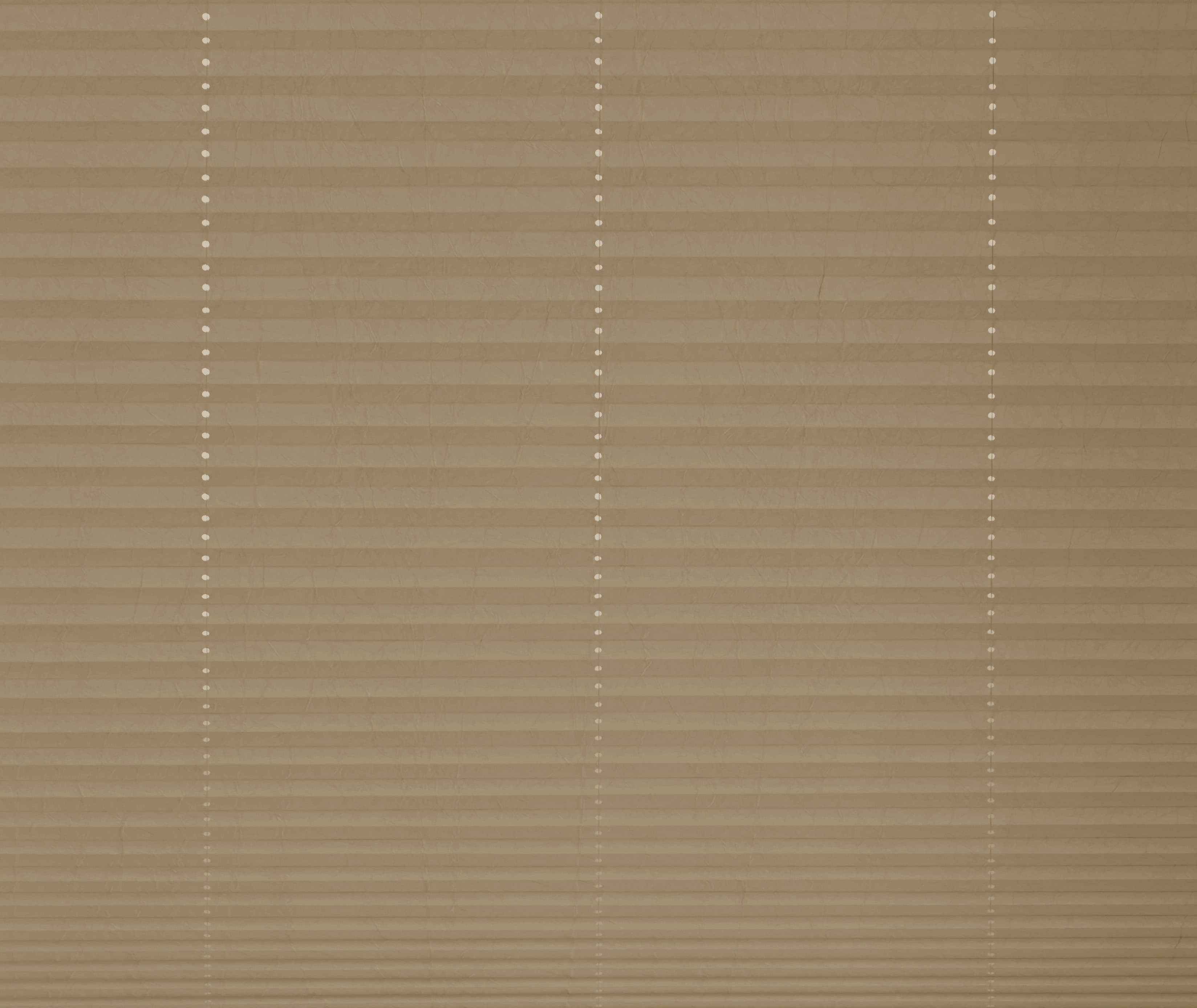 Crush Caramel Pleated Blind
