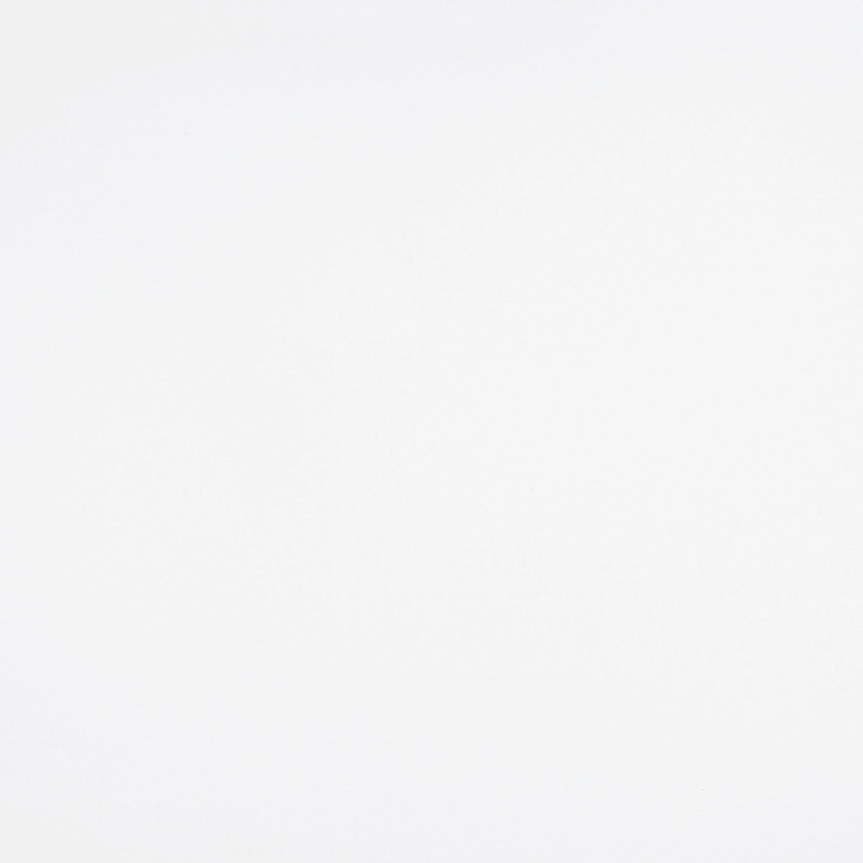 Reber Pure White Vertical Blind
