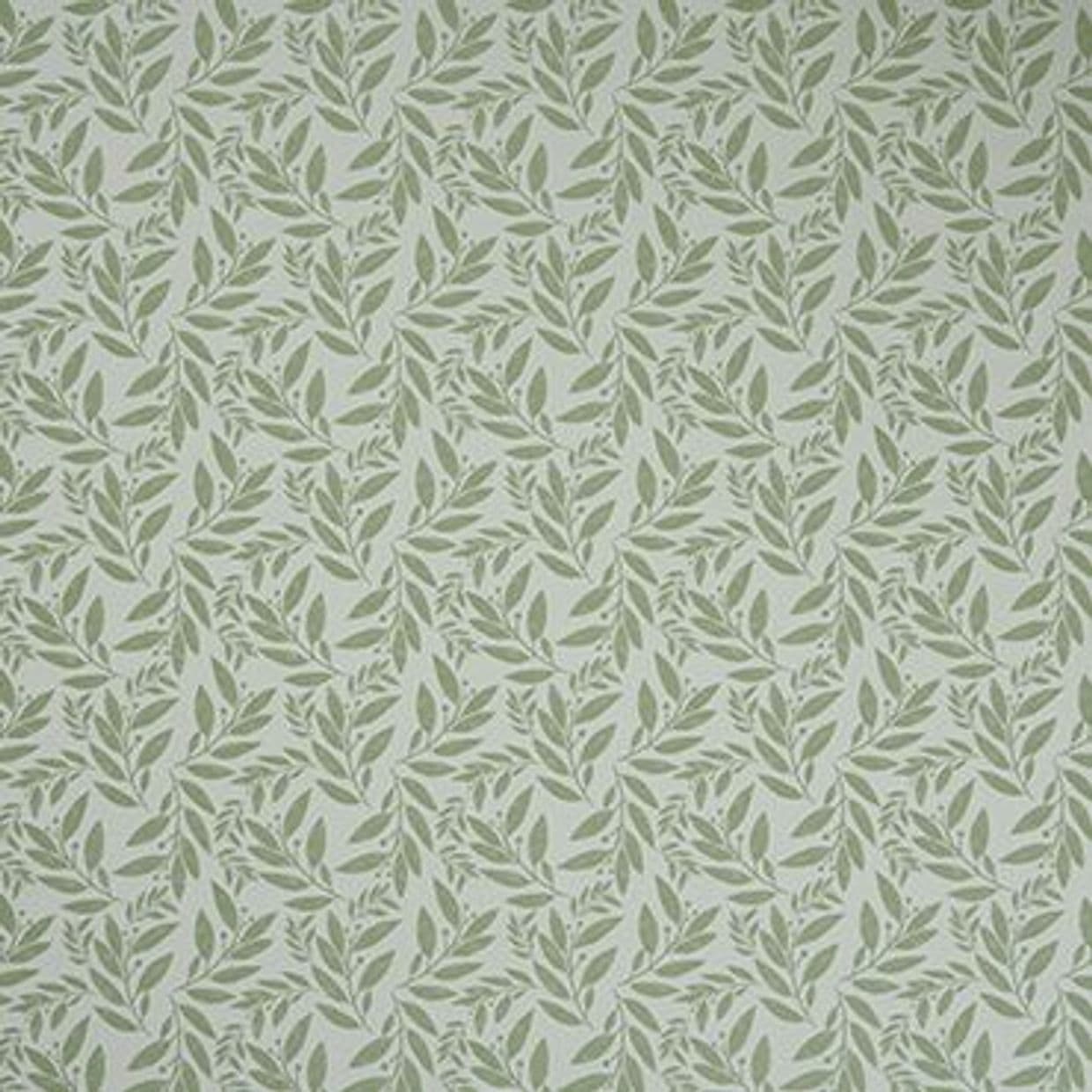 Folia Sage Roman blind