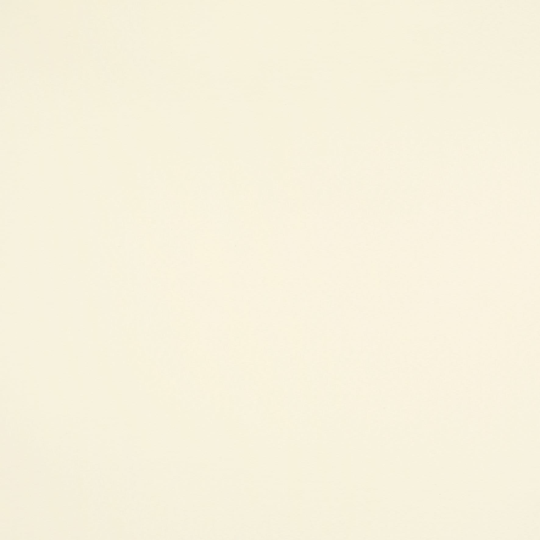 Reber Ivory Vertical Blind