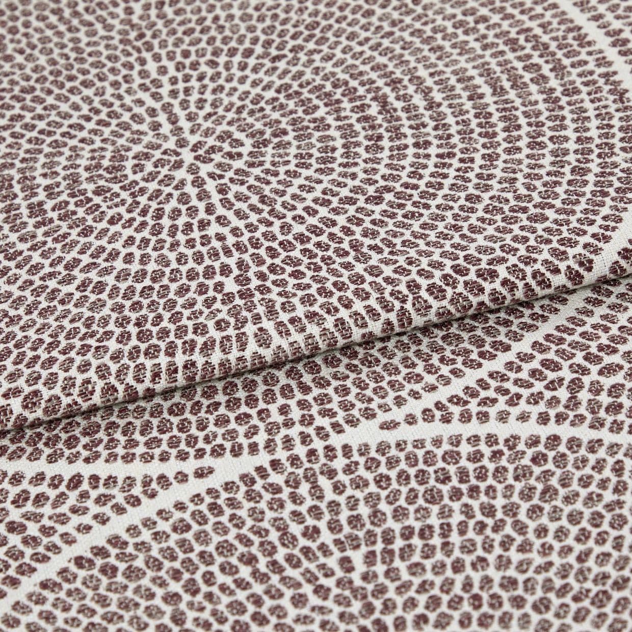 Zane Wineberry Curtain