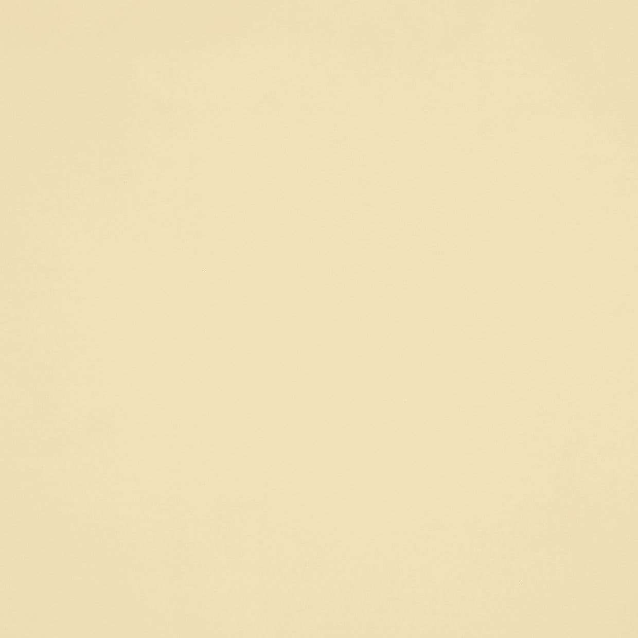 Cordova Cream Conservatory Roller blind