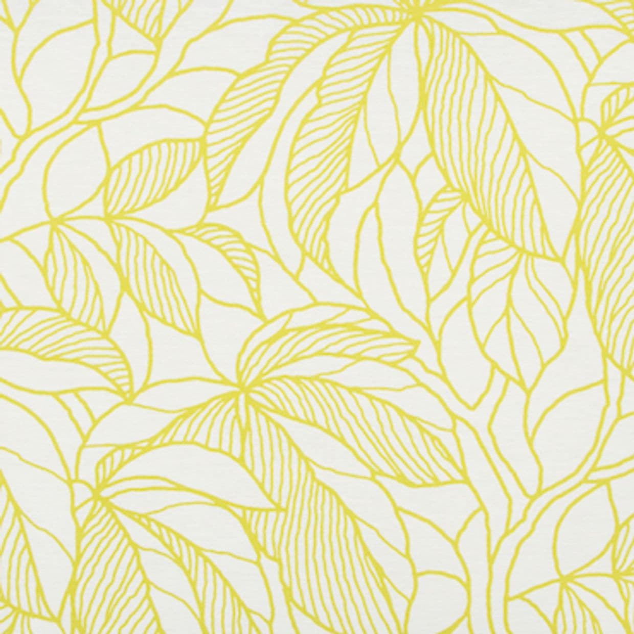 Greenery Tropical Conservatory Roller blind