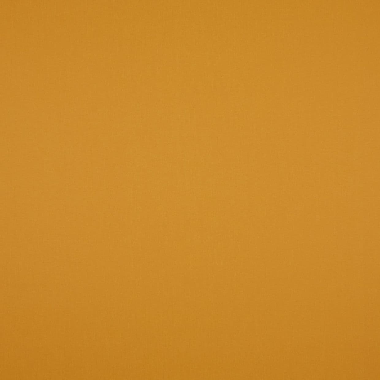 Acacia Butterscotch Conservatory Roller blind
